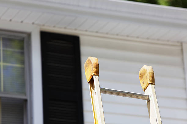 Best Dumpster Rental Services  in Lido Beach, NY